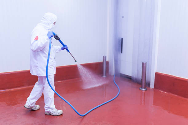 Best Patio and Deck Pressure Washing  in Port Gibson, MS
