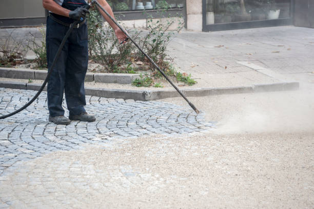 Best Sidewalk and Walkway Cleaning  in Port Gibson, MS